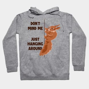 Don't Mind Me Just Hanging Around Eastern Gray Fox Squirrel Hoodie